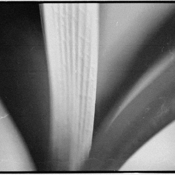 Geometric representation of balance and growth